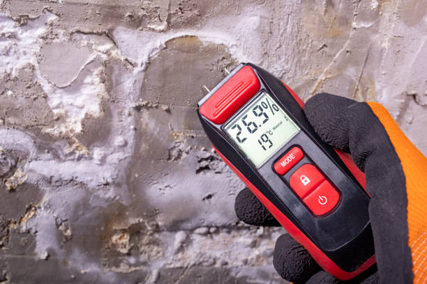 Best Bathroom Mold Remediation in Essex Junction, VT
